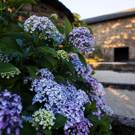 Hébergement de vacances Les Maisons Du Salvignol